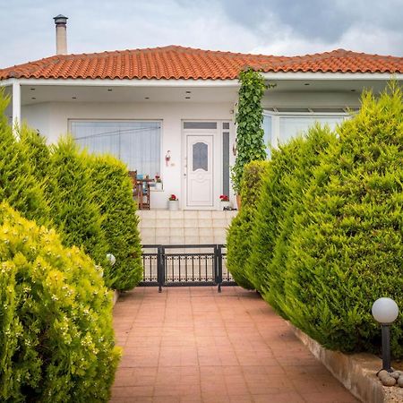אלכסנדרופולי Vineyard Country House With Panoramic Seaview מראה חיצוני תמונה
