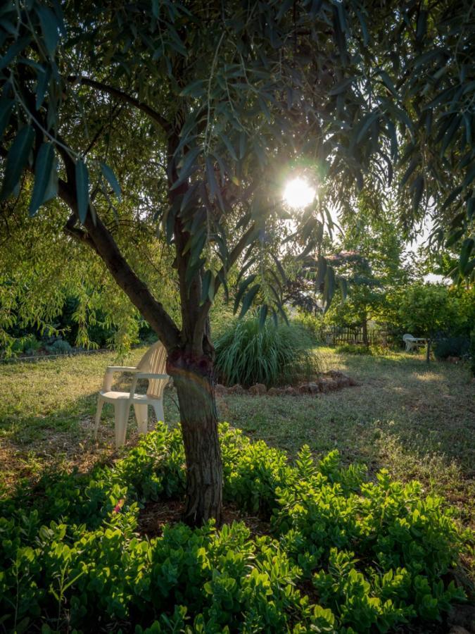 אלכסנדרופולי Vineyard Country House With Panoramic Seaview מראה חיצוני תמונה