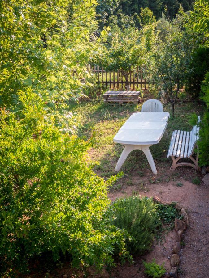 אלכסנדרופולי Vineyard Country House With Panoramic Seaview מראה חיצוני תמונה