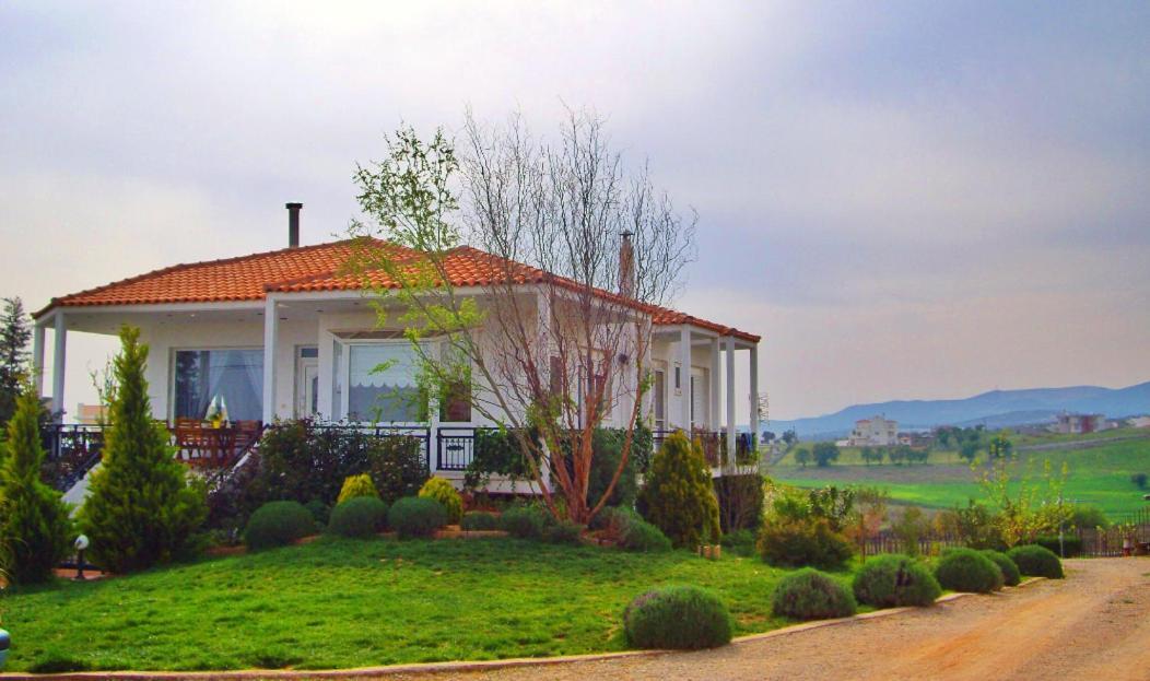אלכסנדרופולי Vineyard Country House With Panoramic Seaview מראה חיצוני תמונה