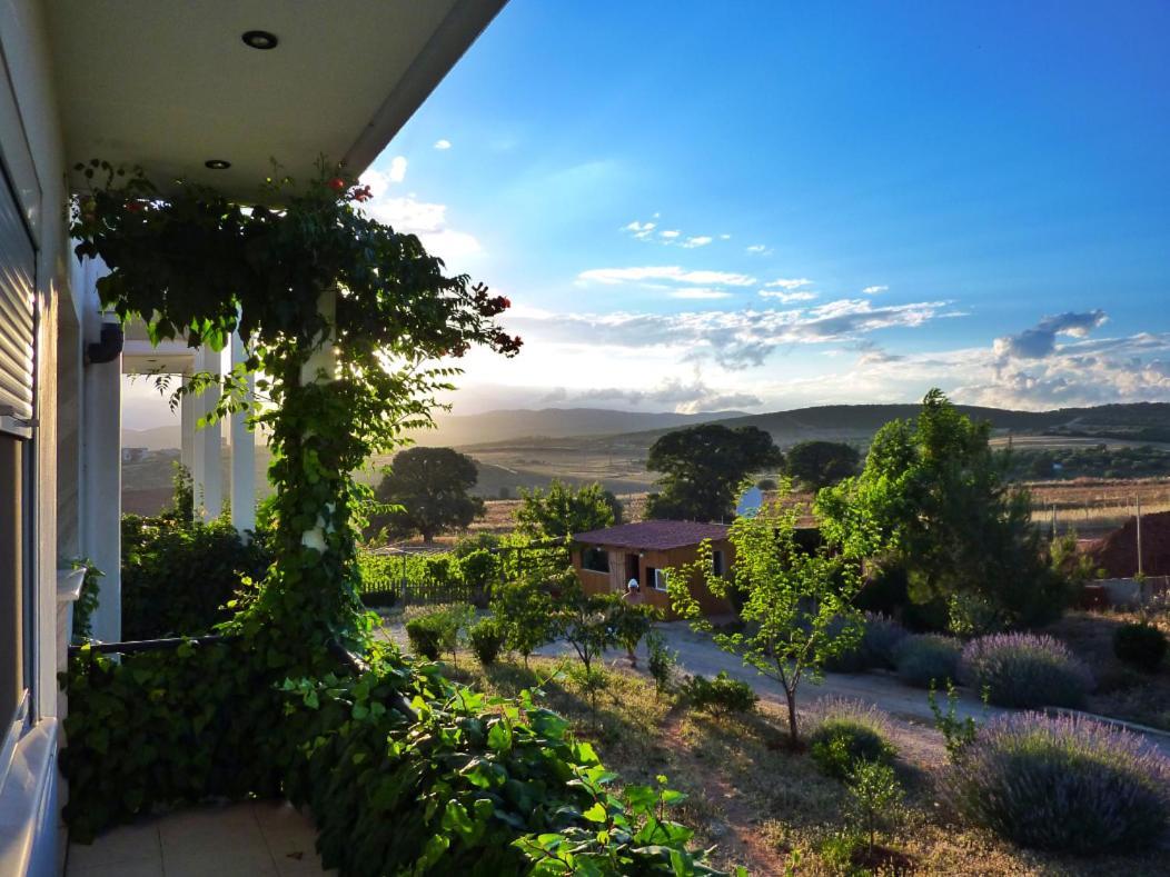 אלכסנדרופולי Vineyard Country House With Panoramic Seaview מראה חיצוני תמונה